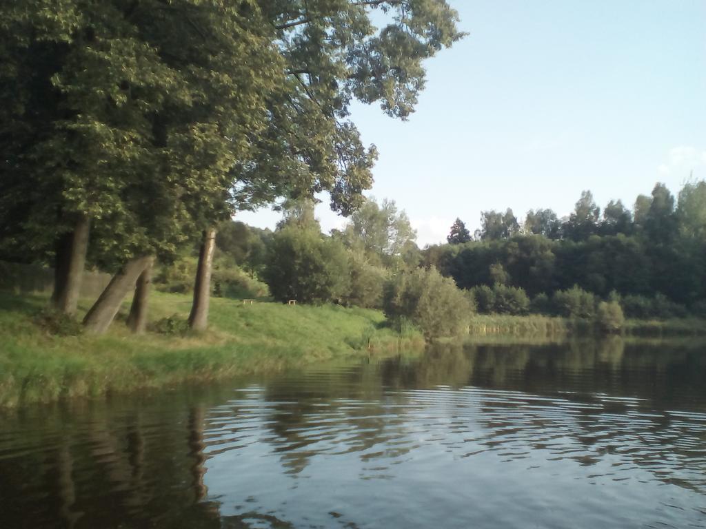 141 * Chřibská